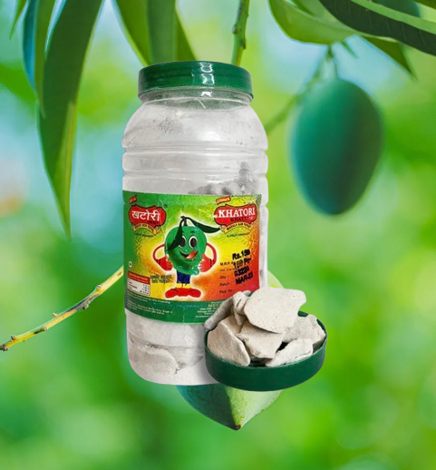 Khatta Khatori Aam Papad | Jesta Royal King
